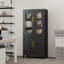 Armoire en métal de style moderne-117541515