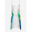 Iris du Tennessee en tablier aquarelle-470389593