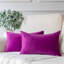 Coussins décoratifs en velours, coussin décoratif uni-2038999976-2050727069-2070713855