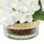 Arrangement floral Sarina Hydrangea dans un vase en verre avec mousse-1099806313