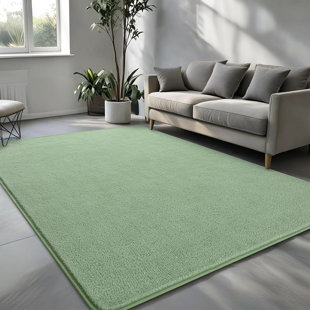 Shag Area Rug