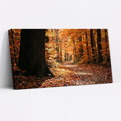 Chemin de terre ensoleillé serpentant à travers une forêt d'automne orange - Tableau sur toile