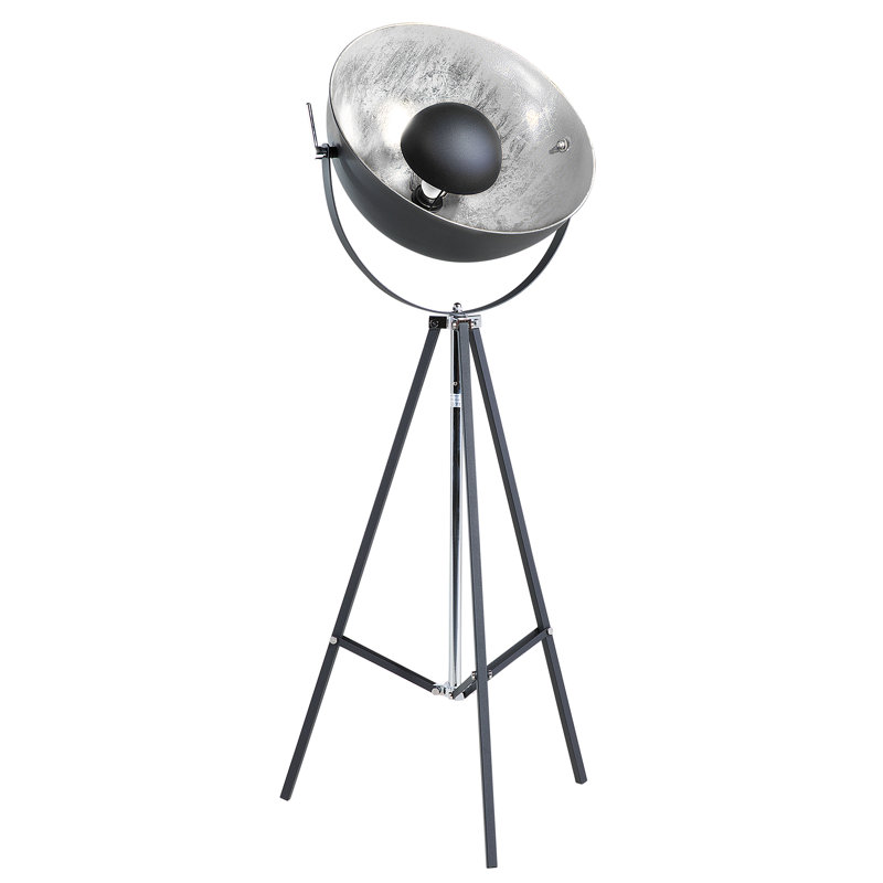 Abbas 165cm Tripod Floor Lamp, Black