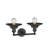 Clintonpark 2 - Light Dimmable Vanity Light-1314788309-1308167400-1308167317