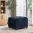 Devault 24" Wide Fabric Tufted Rectangle Storage Ottoman-23731311