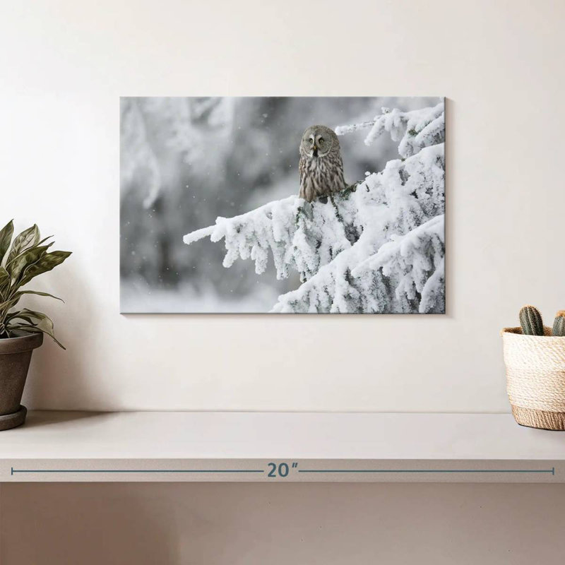 Brampt Owl In Snowy Woods, 8" H x 12" W