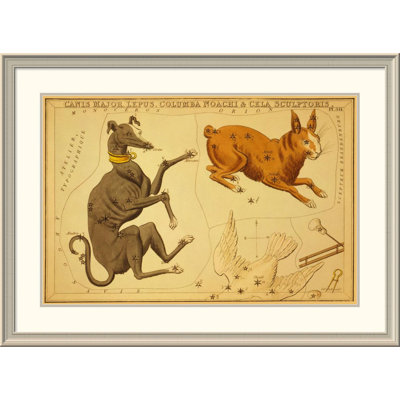 " Canis Major, Lepus, Columba Noachi & Cela Sculptoris, 1825 "