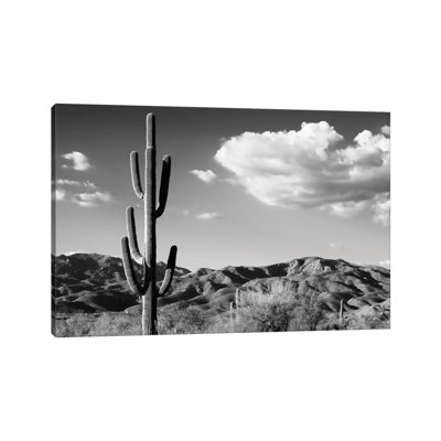 Saguaro Cactus Sunrise by Philippe Hugonnard - Wrapped Canvas Print