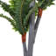 135cm Plant