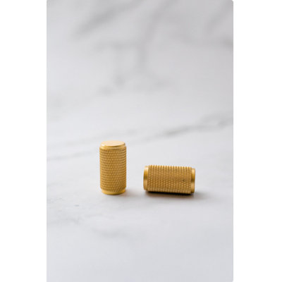 Pretor Cylindrical Knob