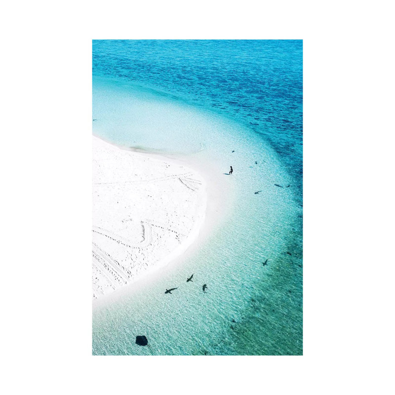 Aerial Island Landscape Beach Sharks Swimmer by James Vodicka - Wrapped Canvas Gallery-Wrapped Canvas Giclée