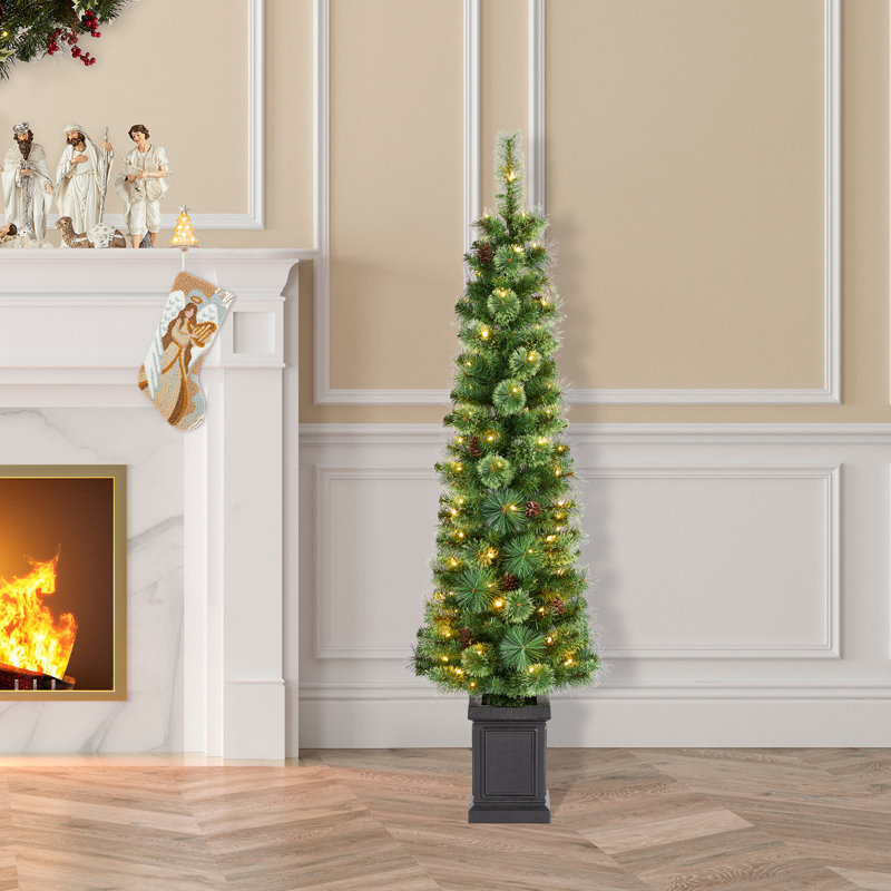 Arbre de Noël pré-éclairé pin vert avec lumières cachemire, 5'
