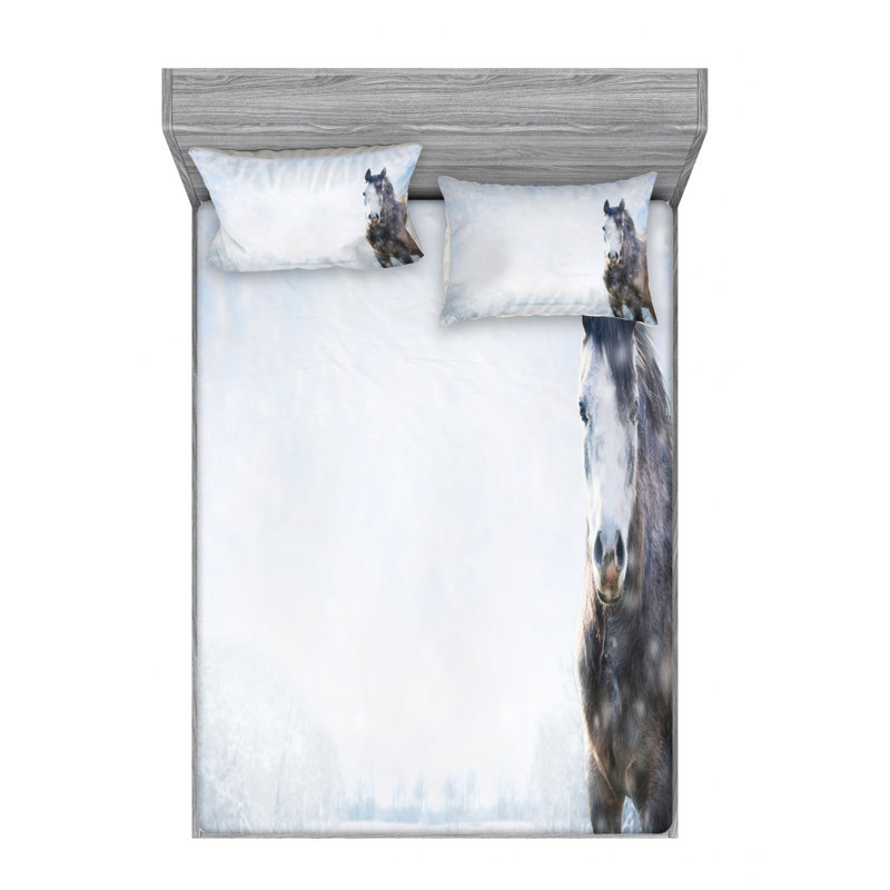 Microfiber Sheet Set, Queen Sheet + Fitted Sheet + 2 Pillowcases