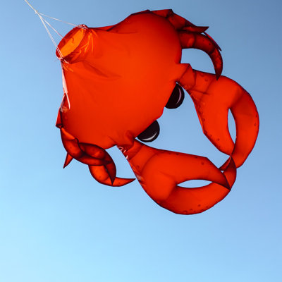 Manche à vent 40 po 3D