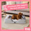 Snug Orthopaedic Pet Bed-98240145-108806512