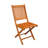 Blaser Wood Outdoor Folding Dining Armchair-33324842