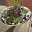 Customer photo 2 of 2