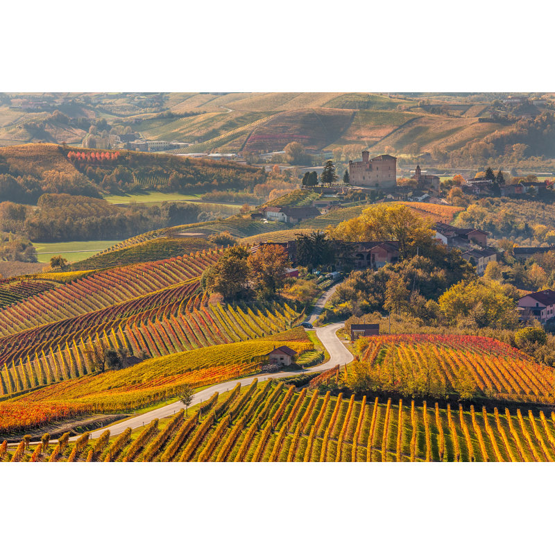 Hettick Road Through Autumnal Vineyards 1 Piece Wrapped Canvas Wall Art, 51cm H x 76cm W x 3.8cm D