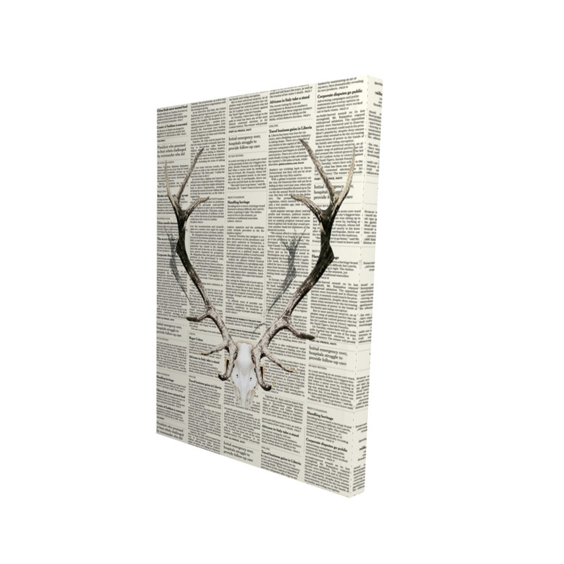 Animaux, toile de cerf brun - cornes de cerf sur papier journal