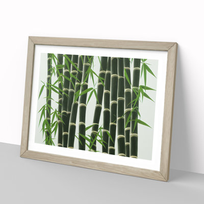 Interesting Bamboo Forest - Single Picture Frame Print
