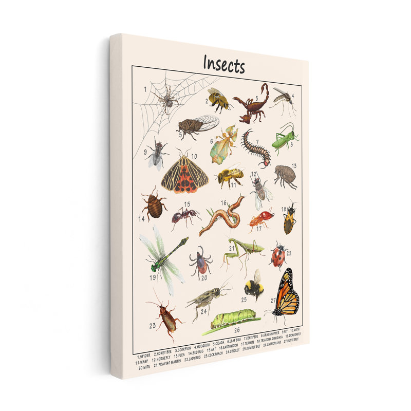 Insectes, Unframed, Canvas, 16"H x 20"W