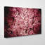 Japanese Cherry Blossom Pink Tree Photographic - Wrapped Canvas-19040997