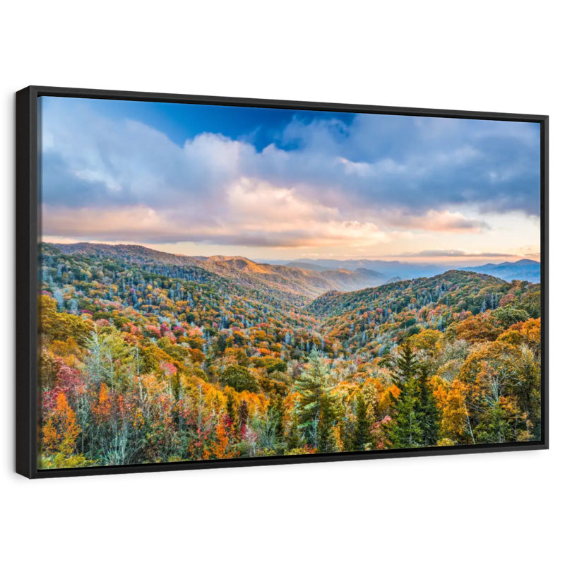 Smoky Mountains at Fall, Cadre flottant noir, 13 po x 9 po