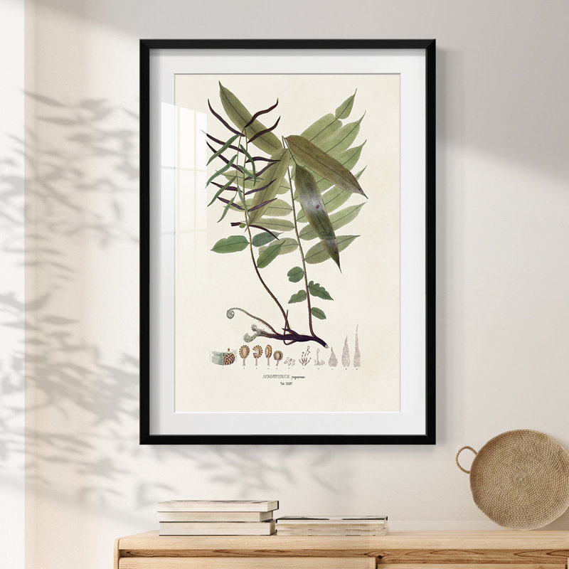 Bright Boy II -Gallery Wrapped Canvas