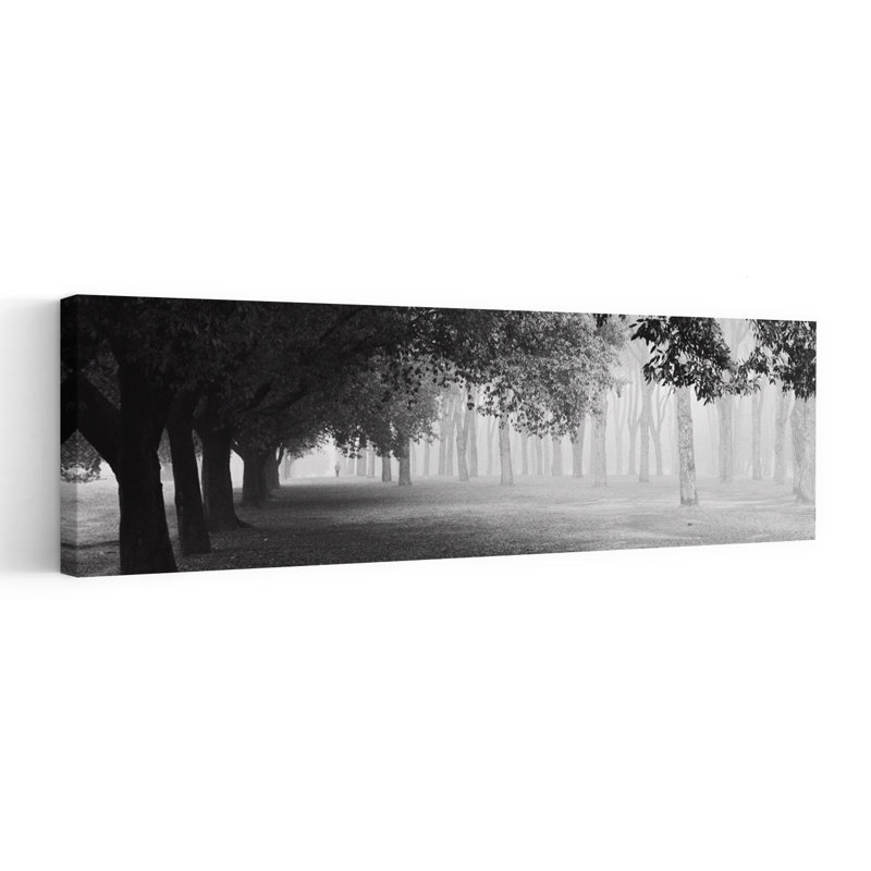 «Misty Tree Avenue», art mural paysage de forêt paisible paisible, H 20 po x l 60 po