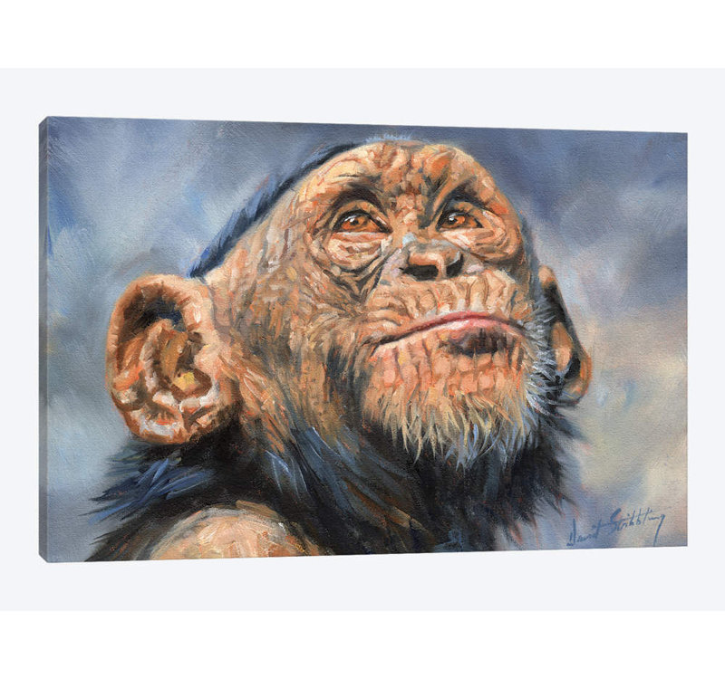 « chimp », impression sur toile, H 8 po x l 12 po x P 0,75 po, Pas de tapis, Toile tendue