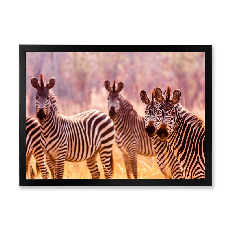 Portrait d'une famille de zèbres d'Afrique - Photographie sur toile, Cadre photo noir, H 12 po x l 20 po x P 1 po