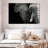 Wise Elephant-107470910