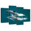 Brampt, mer des dauphins de Cortes-108894960