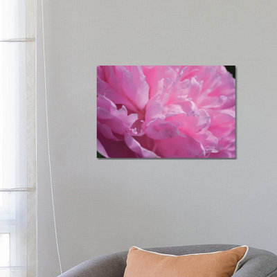 Pastel Peony by Michelle Calkins - Wrapped Canvas Print