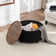 Pietsch Round Coffee Table with Storage