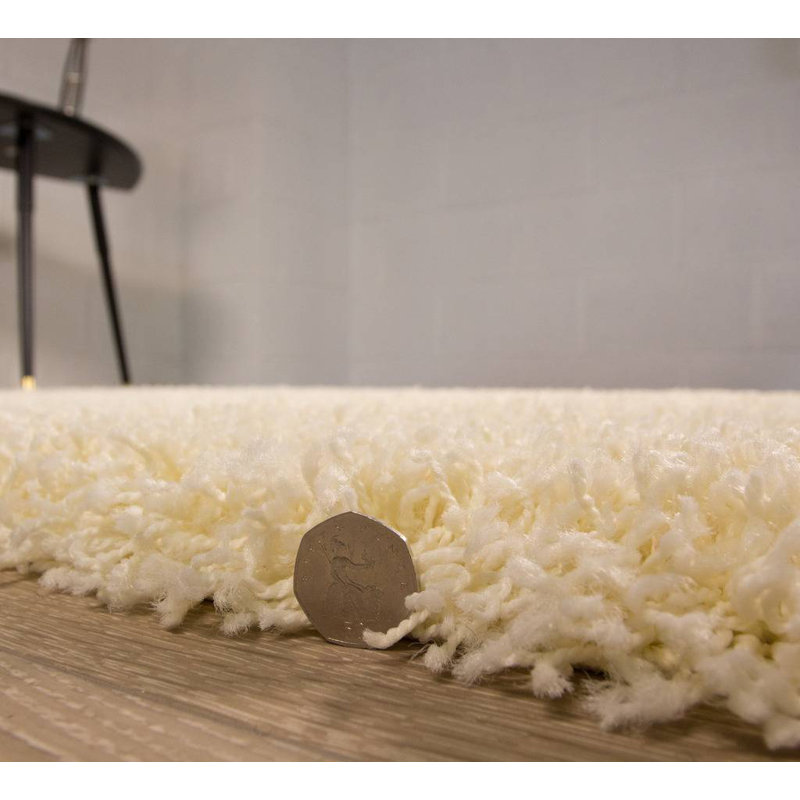 Ophiuchi Solid Colour Shag Area Rug, Rectangle 110 x 160cm