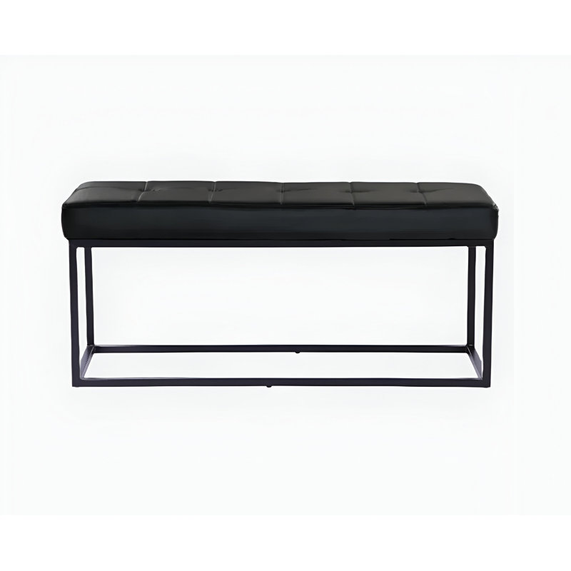 Banc Burney Cisne, Noir