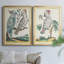 «Pastel Birds I», toile encadrée de qualité supérieure - prête à être accrochée-1110646624-1110646687