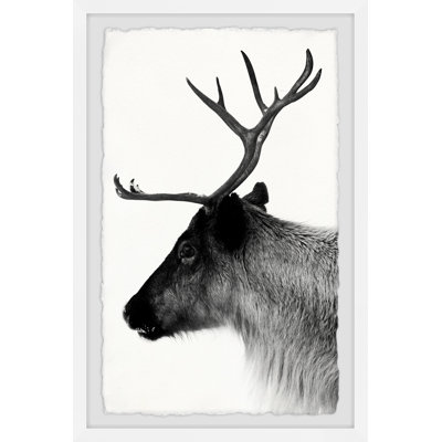 Single Picture Frame Print