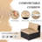 6 - Person Modular Patio Conversation Sets with Cushions-593161582