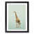 Black Framed selected