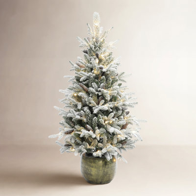 4.5' Pre-Lit Pine Tree