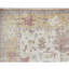Wool Oriental Area Rug