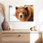 Regard d'ours grizzly-107703632