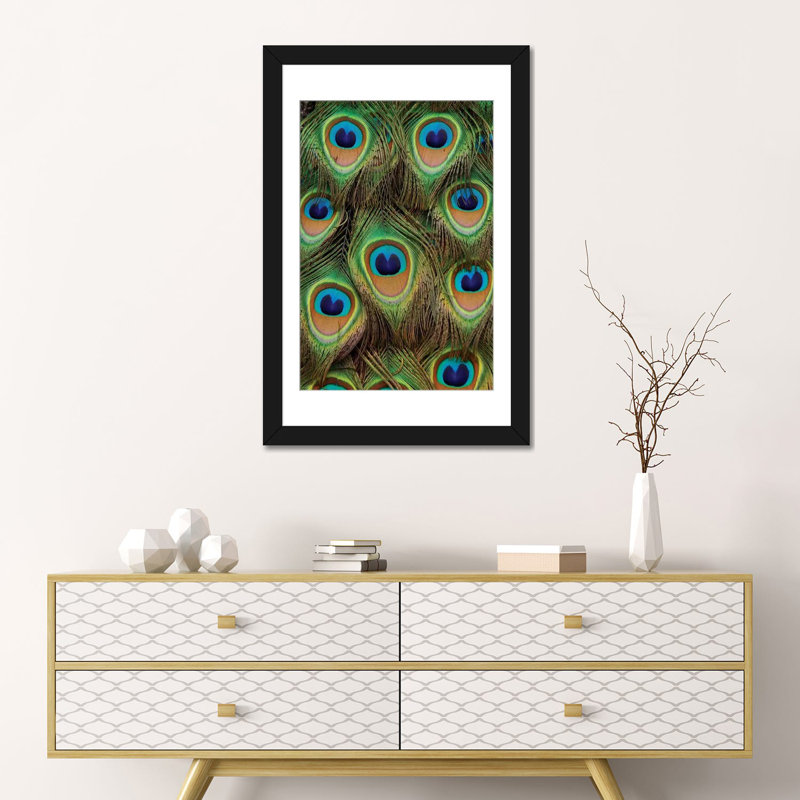 «Indian Peafowl, mâle, plumes de la queue, Native to Asia», impression sur toile, H 32 po x l 24 po x P 1 po, Blanc
