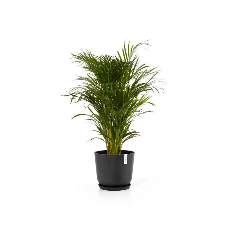 Jardinières en pot, Gris foncé, H 13,78 po x l 13,78 po x P 12,01 po