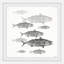 «Freshwater Fish» par Julia Posokhova - reproduction de cadre photo-26601414