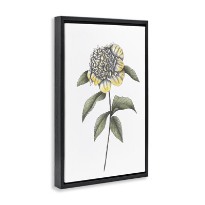 Cadre flottant Camellia Flower Illustration, design par Cecilia Battaini