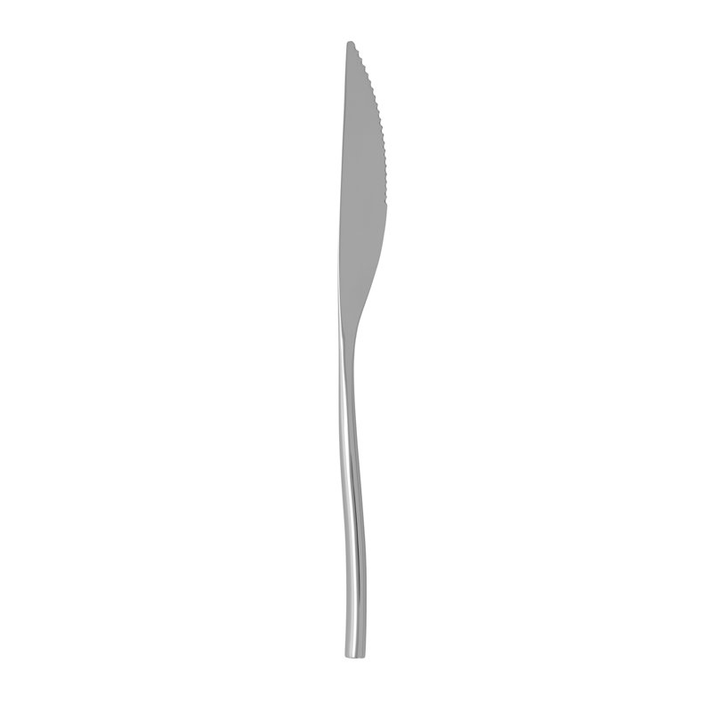 Oneida Hospitality Vasari 12 Piece Steak Knife Set
