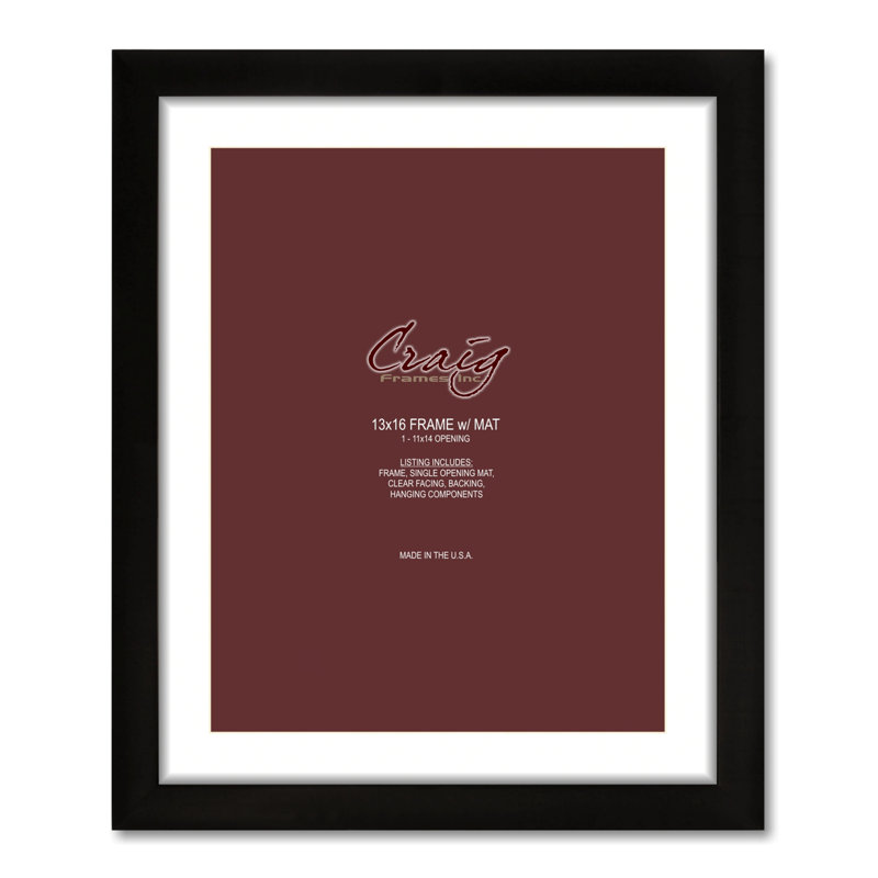 Ruyle Black Matte Picture Frame with Mat, 11" x 14", 16.5" x 19.5"